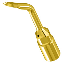 Kit ultrasurgery Piezo - DTE Woodpecker | Wamkey.com