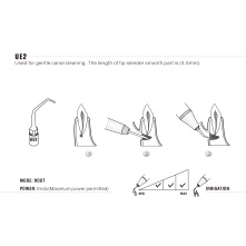 Kit ultrasurgery Piezo - DTE Woodpecker | Wamkey.com