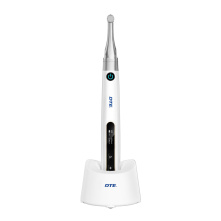 DTE WOODPECKER - Endo Pace - Moteur Endo