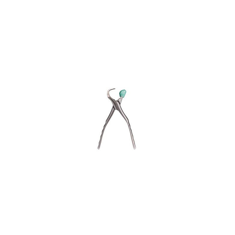 PHYSICS FORCEPS - Pinces de Pédodontie