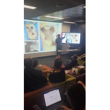 Formation en Endo avec Dr Yassine CORBIN et Dr Geoffrey LACURIE