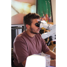 Formation en Endo avec Dr Yassine CORBIN et Dr Geoffrey LACURIE