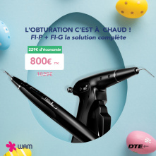 DTE WOODPECKER - OBTURATION FI-P + FI-G PACK