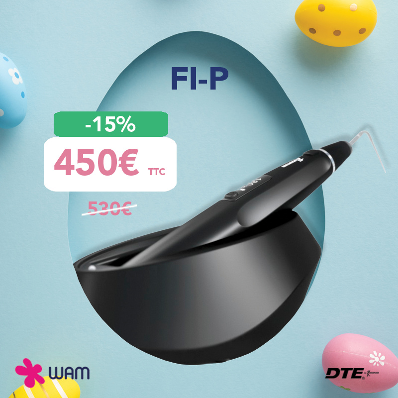 FI-P de DTE Woodpecker : obturation à chaud FI-P de DTE Woodpecker : obturation à chaud