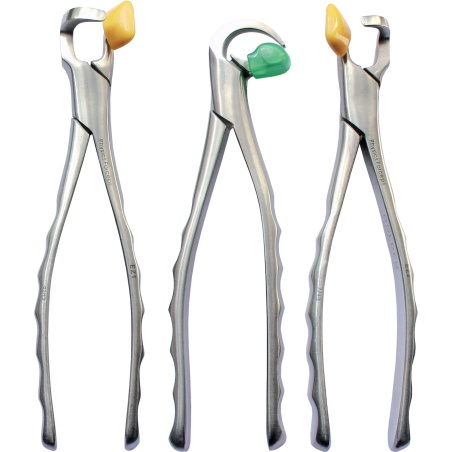 PHYSICS FORCEPS - Essential kit