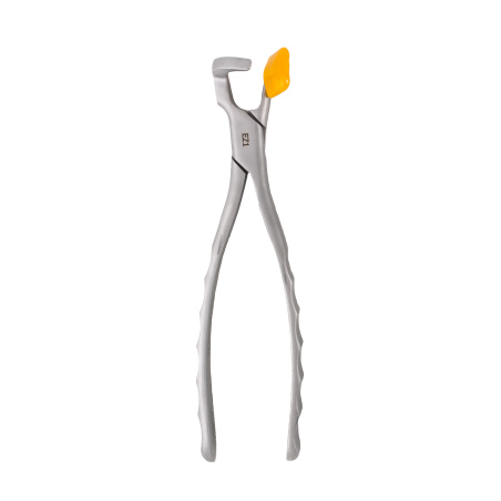 PHYSICS FORCEPS - Kit Molaires