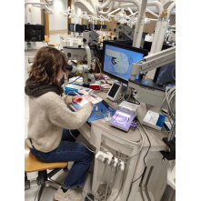 copy of WAM - Partenaire de la Formation Parodontologie du Dr Darmouni - 16-17 juin 2025