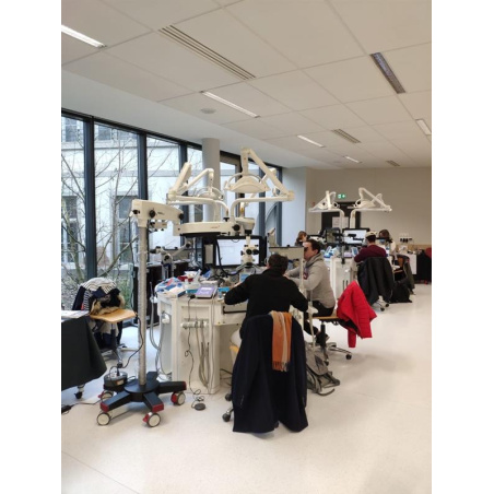 WAM à Strasbourg : aux côtés du DU de Micro-endodontie