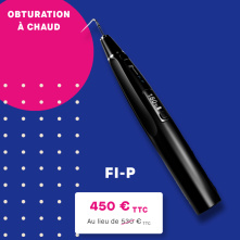 FI-P de DTE Woodpecker : obturation à chaud