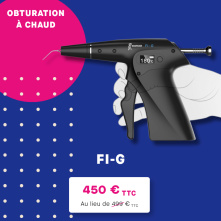 FI-G de DTE Woodpecker : obturation à chaud