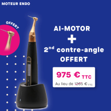 DTE WOODPECKER - Moteur AI-MOTOR + 2nd Contre-angle for FREE