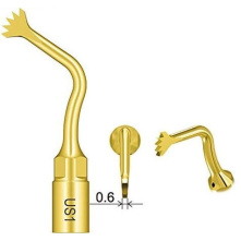 DTE WOODPECKER - INSERT US1
