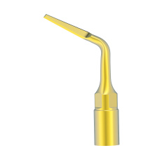 WOODPECKER_INSERT UC3