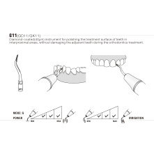 Insert Woodpecker & DTE GD11