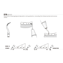 Insert Woodpecker & DTE GD10 Insert Woodpecker & DTE GD10