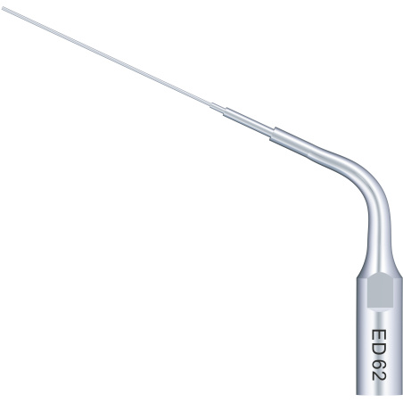 Insert Woodpecker & DTE