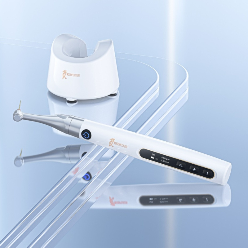 DTE WOODPECKER - Endo Pace - Moteur Endo