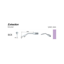 Insert dentaire extraction WOODPECKER DTE - SC5 - wamkey.com Insert dentaire extraction WOODPECKER DTE - SC5 - wamkey.com