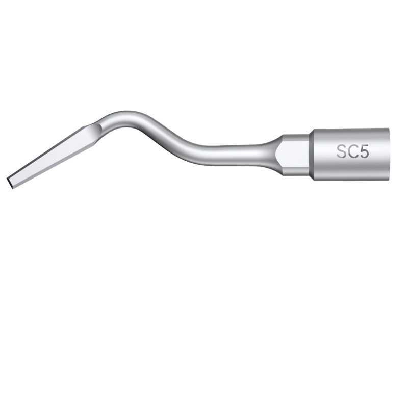 Insert dentaire extraction WOODPECKER DTE - SC5 - wamkey.com Insert dentaire extraction WOODPECKER DTE - SC5 - wamkey.com