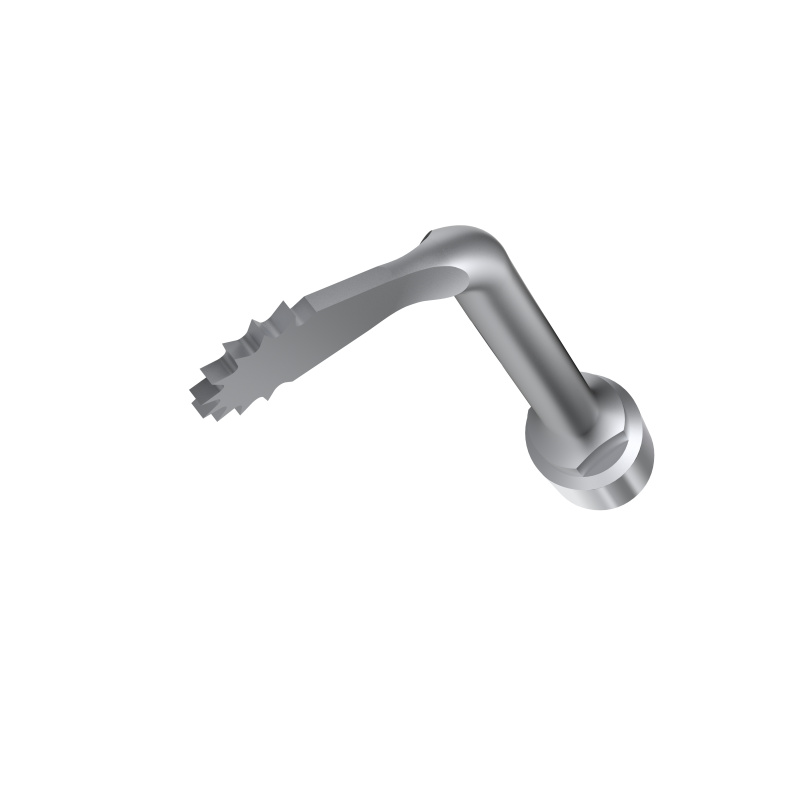 Insert WOODPECKER DTE - SS21 Insert WOODPECKER DTE - SS21