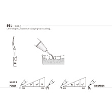 DTE WOODPECKER - INSERT P3L