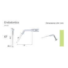 Insert WOODPECKER DTE - ED7