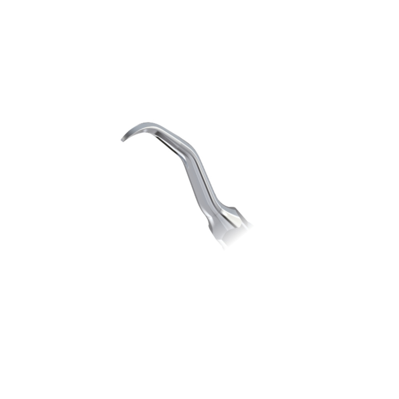 WOODPECKER_INSERT G10