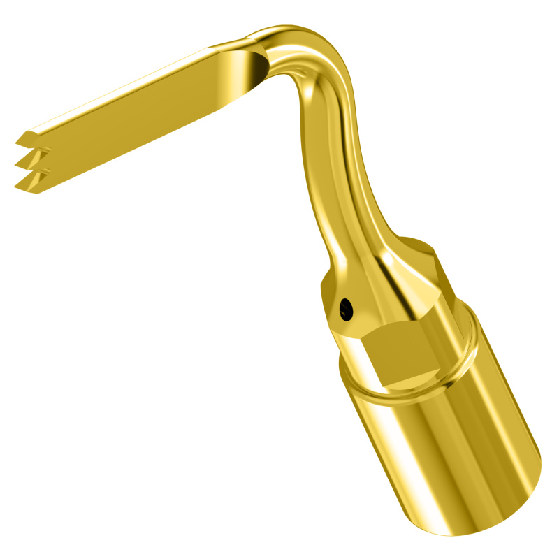 WOODPECKER_INSERT US6 (OT7-S3) WOODPECKER_INSERT US6 (OT7-S3)