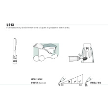 Insert WOODPECKER DTE - US13 Insert WOODPECKER DTE - US13