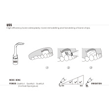 Insert WOODPECKER DTE - US5 Insert WOODPECKER DTE - US5