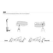 Insert Woodpecker & DTE GK2 Insert Woodpecker & DTE GK2