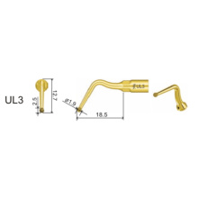 DTE WOODPECKER - INSERT UL3