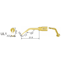 DTE WOODPECKER - INSERT UL1