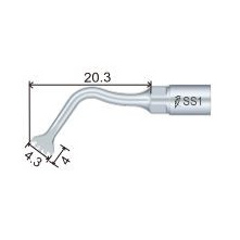 Insert WOODPECKER DTE - SS1