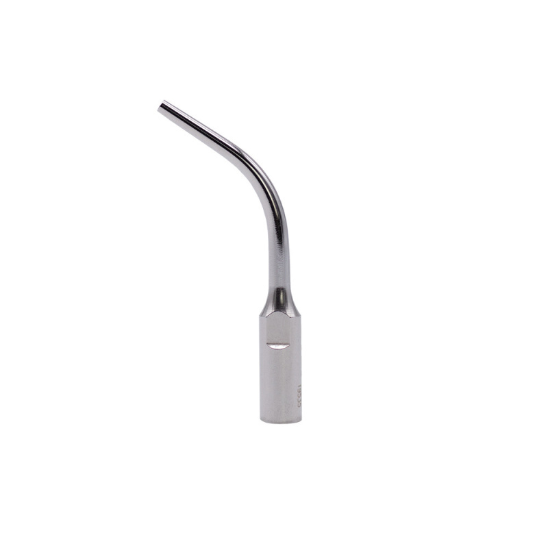 Insert Woodpecker & DTE