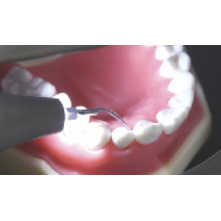 D600LED WOODPECKER DTE Scaler on wamkey.com