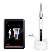 DTE WOODPECKER - Endo Pace - Endo motor