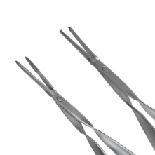 LASCHAL - Tissue manipulation Forceps