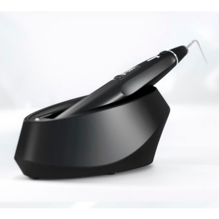 DTE WOODPECKER - Obturation à chaud - Fi-P