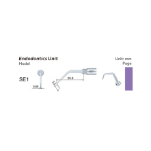 Insert WOODPECKER DTE - SE2