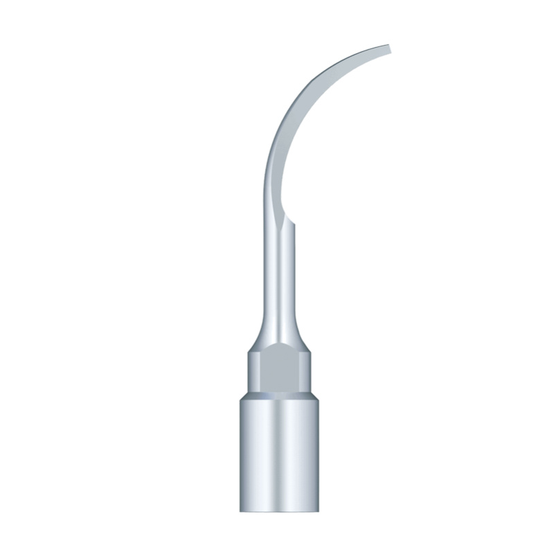 Insert WOODPECKER DTE - SP2