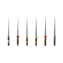 Endo files sequence 06 BLUE Valdental by Rogin - WamKey.com