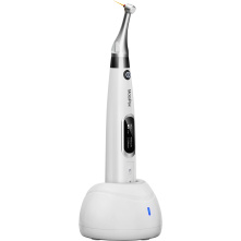 DTE WOODPECKER - Endo Motor Motopex