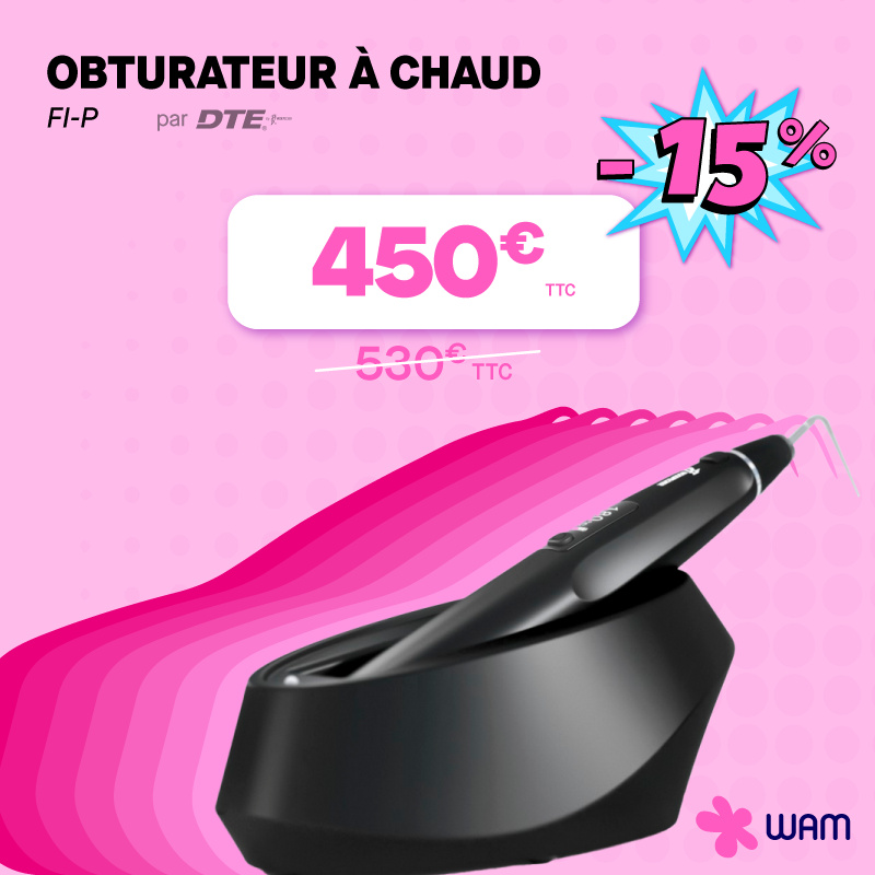 FI-P de DTE Woodpecker : obturation à chaud