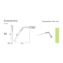 Insert Woodpecker & DTE