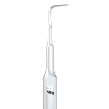 copy of DTE WOODPECKER - Tip ED25RD