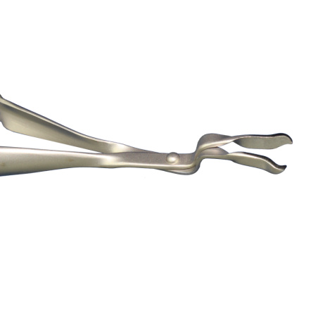 LASCHAL - File or Abutment forceps