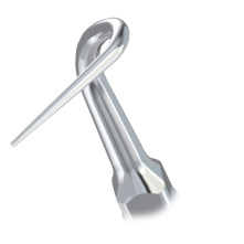 WOODPECKER_INSERT P53L