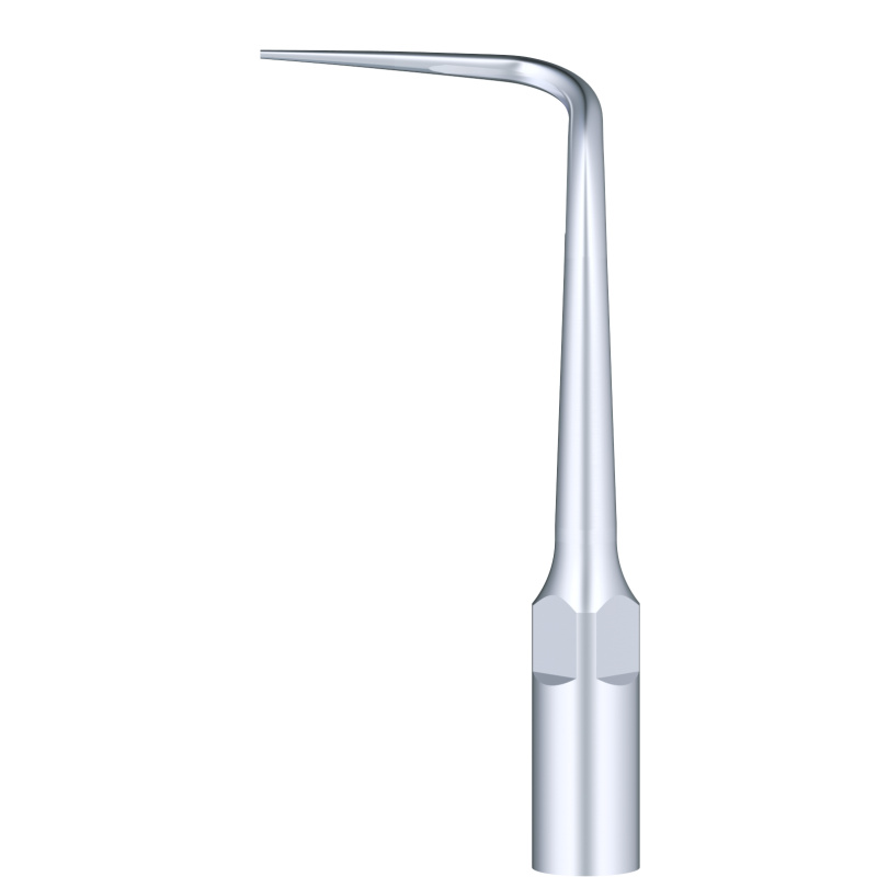 WOODPECKER_INSERT P53R