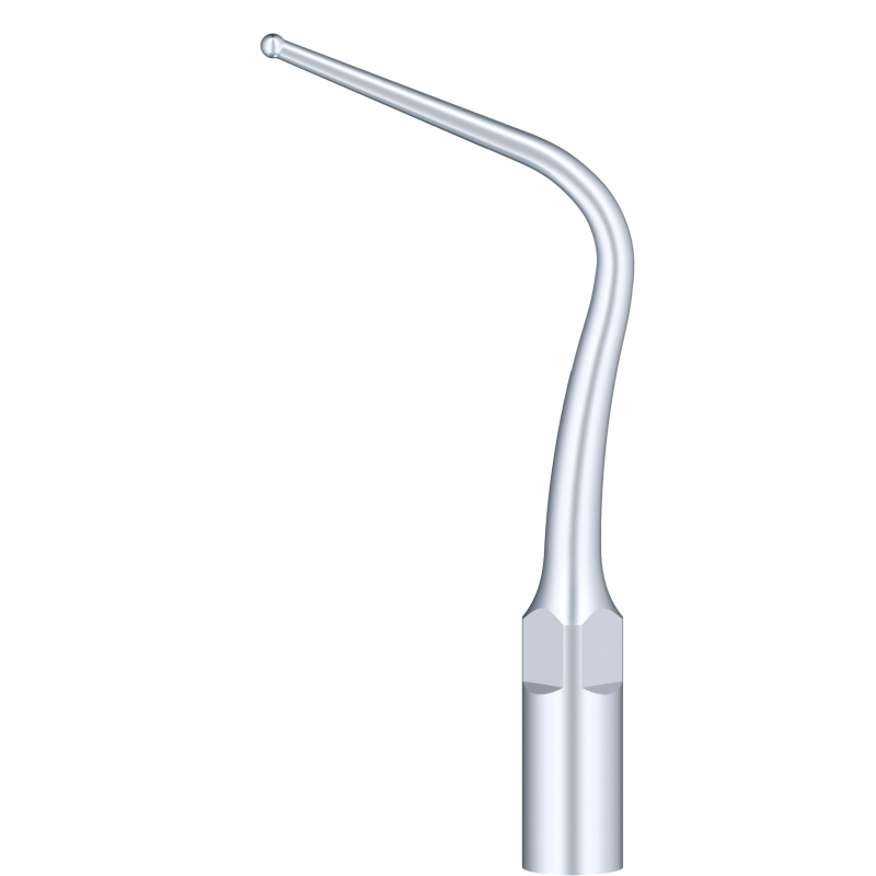 WOODPECKER_INSERT P56